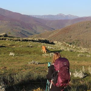 Meet your Posher, Abbey